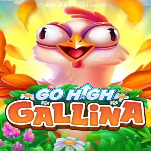Exploring the Thrilling World of GoHighGallina: A New Era for Online Cassino Enthusiasts